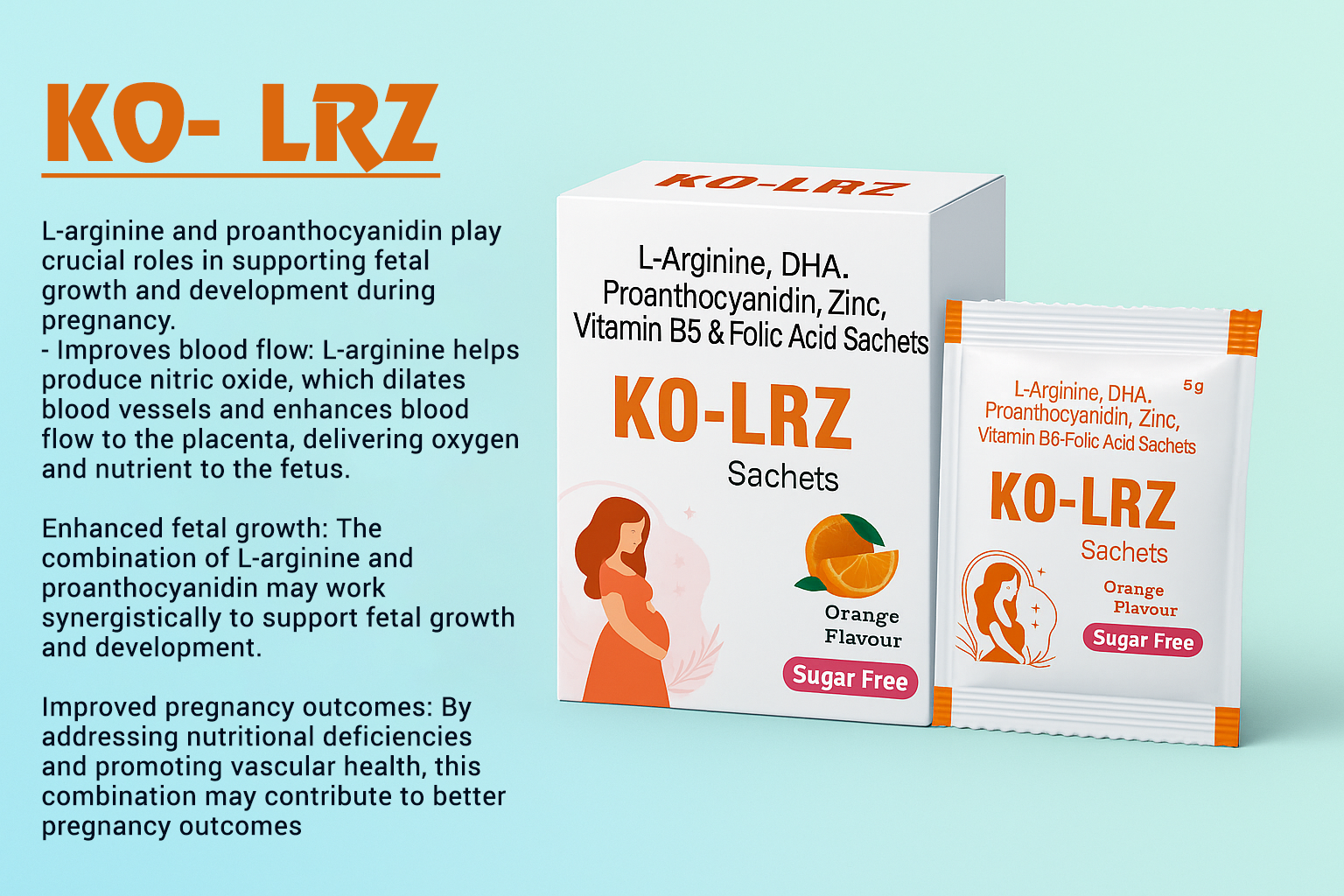 KO LRZ Poster